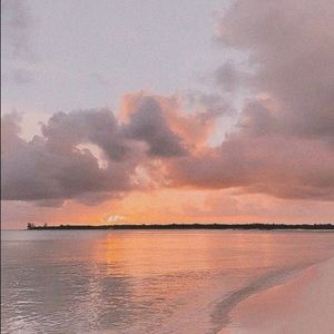 Meet your Posher, Noemi